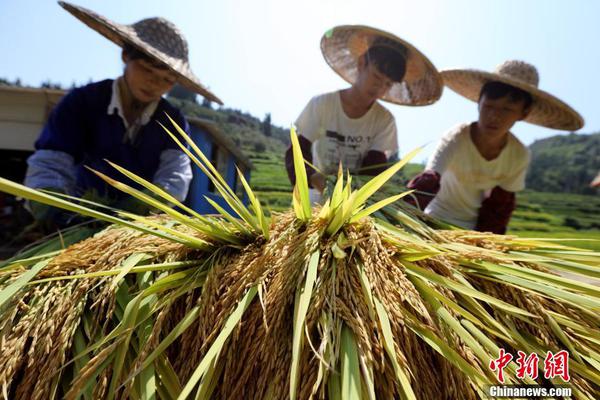 白小姐一码中期期开奖结果查询|精选解释解析落实_v7.728版